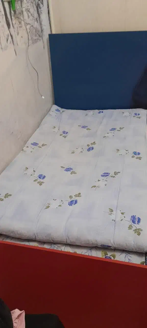 تخت چوبی|تخت و سرویس خواب|ری, دیلمان|دیوار