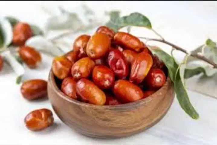 نهال سنجد ۲ساله|گل و گیاه طبیعی|میاندوآب, |دیوار