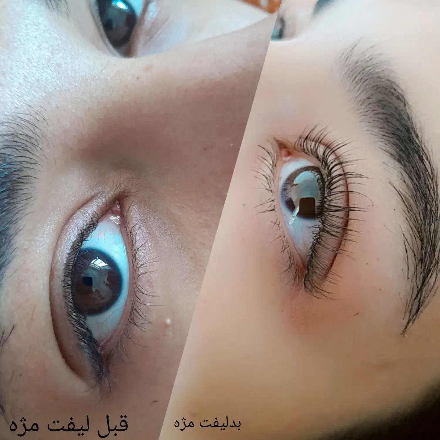 لیفت ولمینت مژه وابرو|خدمات آرایشگری و زیبایی|سلماس, |دیوار