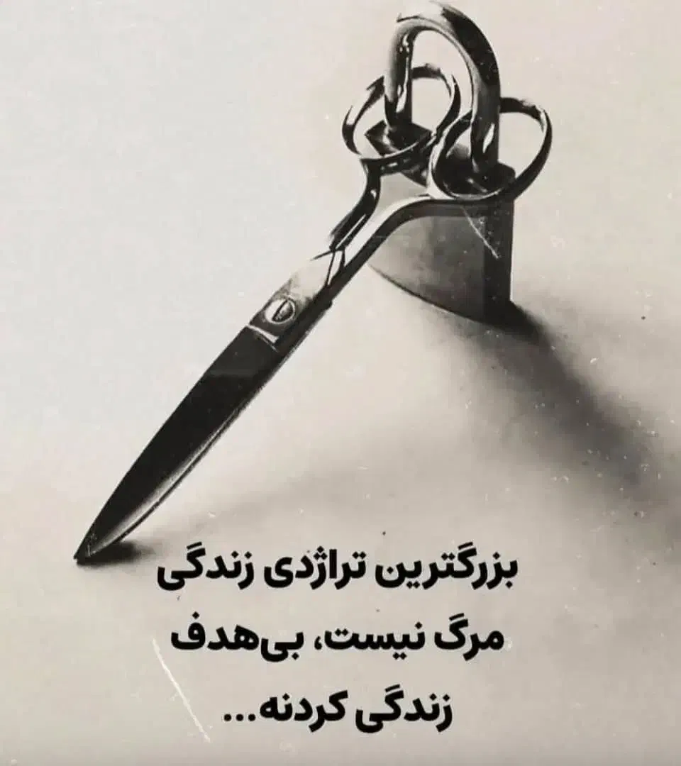 همفکری|فعالیت داوطلبانه تحقیقاتی|اصفهان, کوی سپاهان|دیوار