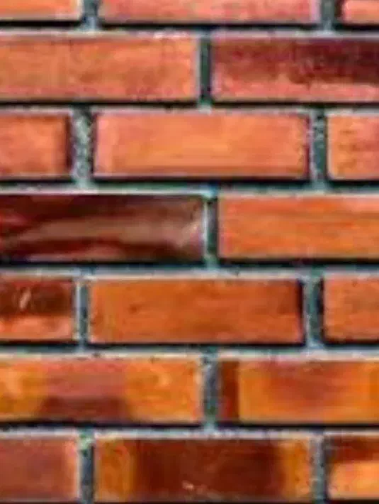 استابنا هستم|خدمات پیشه و مهارت|بیرجند, |دیوار