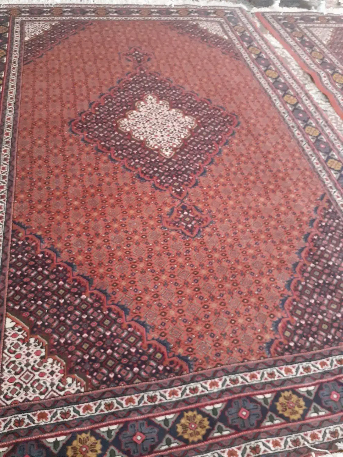 فرش دستبافت ۲تخته|فرش|مشگین شهر, |دیوار