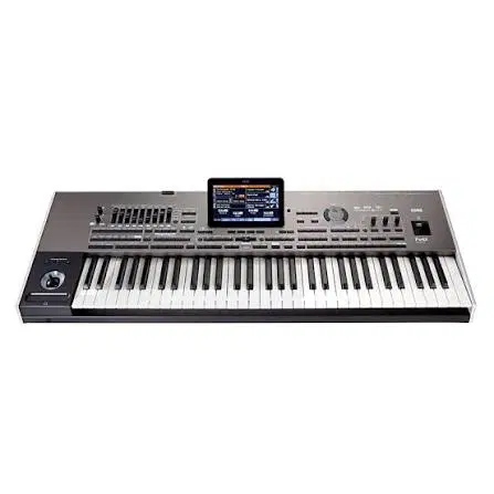 korg pa4 x or 61 k|پیانو، کیبورد، آکاردئون|شیراز, وصال|دیوار