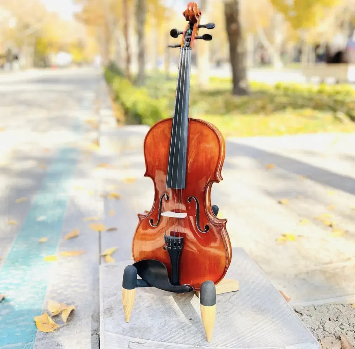 ویالون مدل۱۴۶ سایز۴/۴ m.v|ویولن|بوشهر, |دیوار