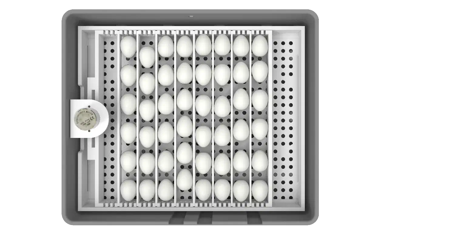 دستگاه جوجه کشی تولید ثروت با مشاوره و ارسال سریع|لوازم جانبی حیوانات|ماسوله, |دیوار