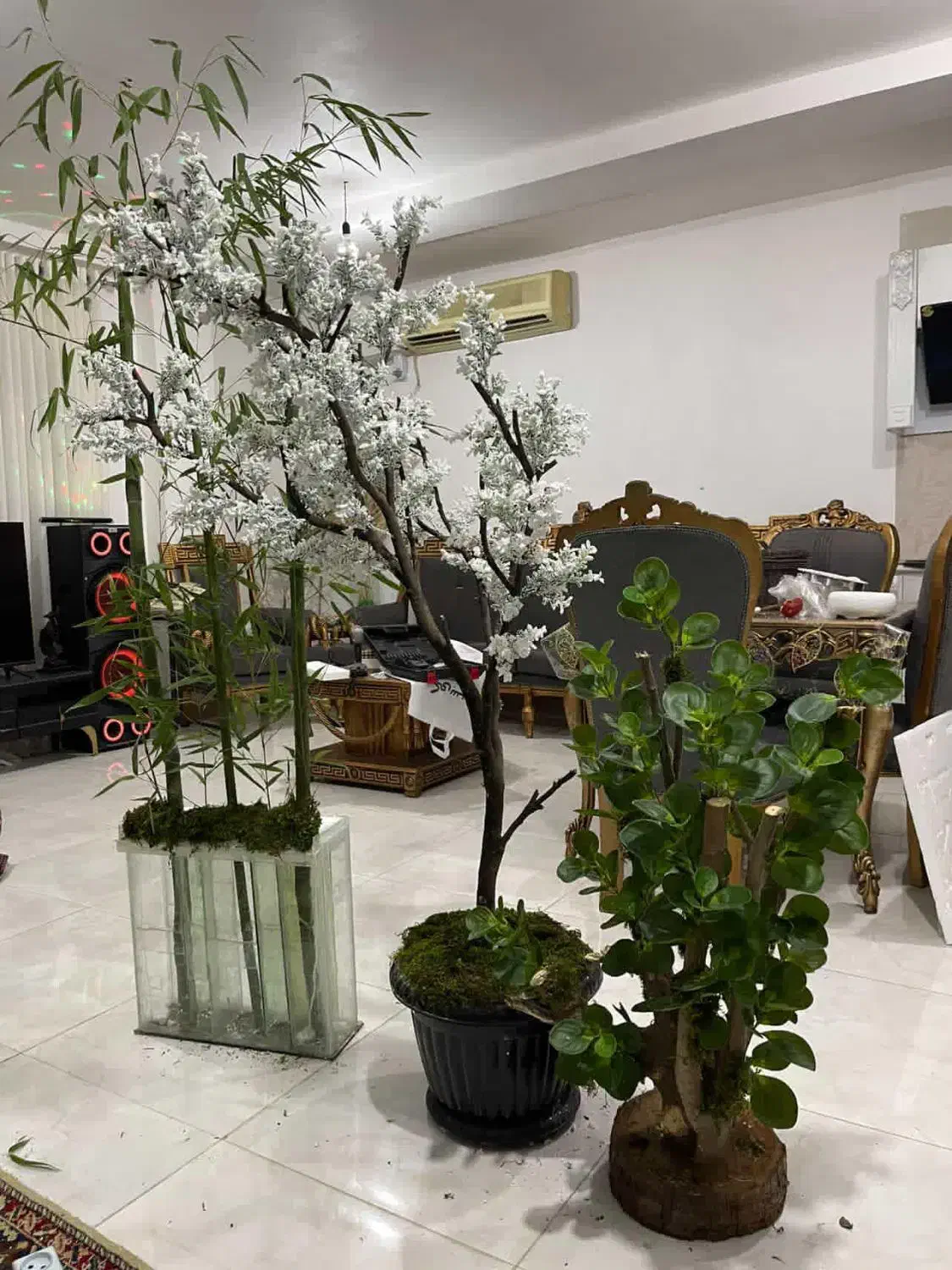 درختچه های زیبا و جذاب با برگهای مصنوعی تنه طبیعی|گل مصنوعی|بهشهر, |دیوار