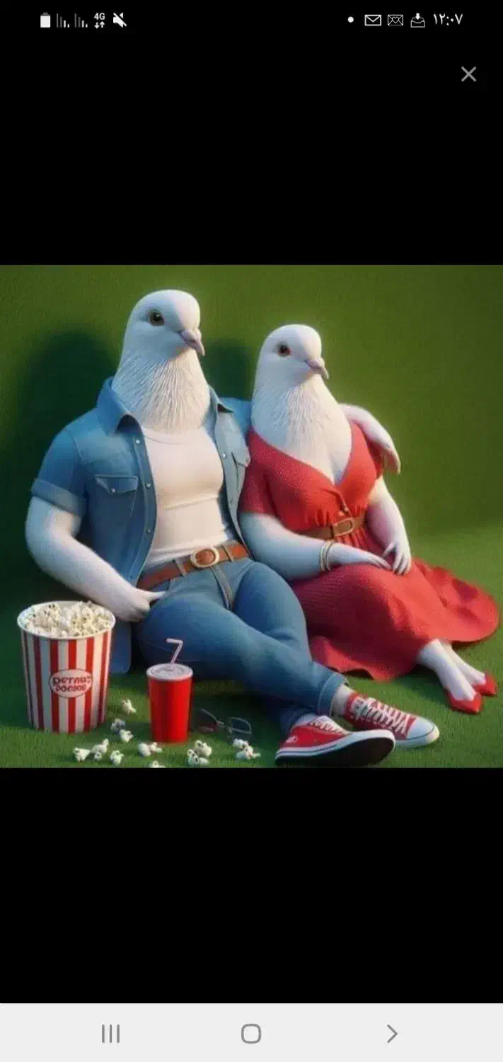 کفتر گمشده سبز کاکلی|پرنده|تهران, توحید|دیوار