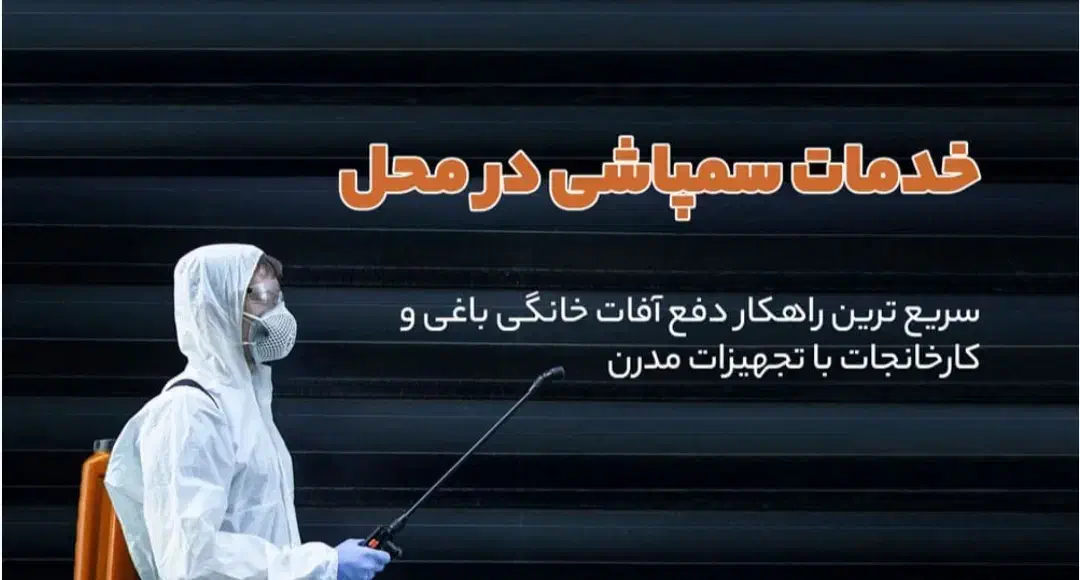 سمپاشی باضمانت۲ساله بدون نیاز به شستوشو.بهترین قیم|خدمات نظافت|کیش, |دیوار