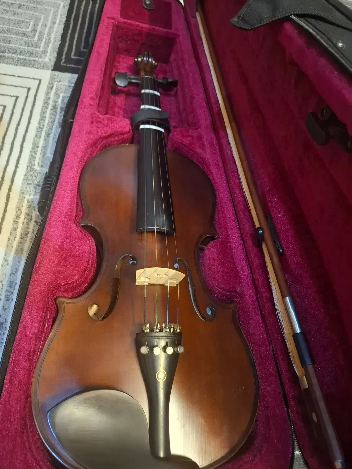 ویولن|ویولن|کرمان, |دیوار