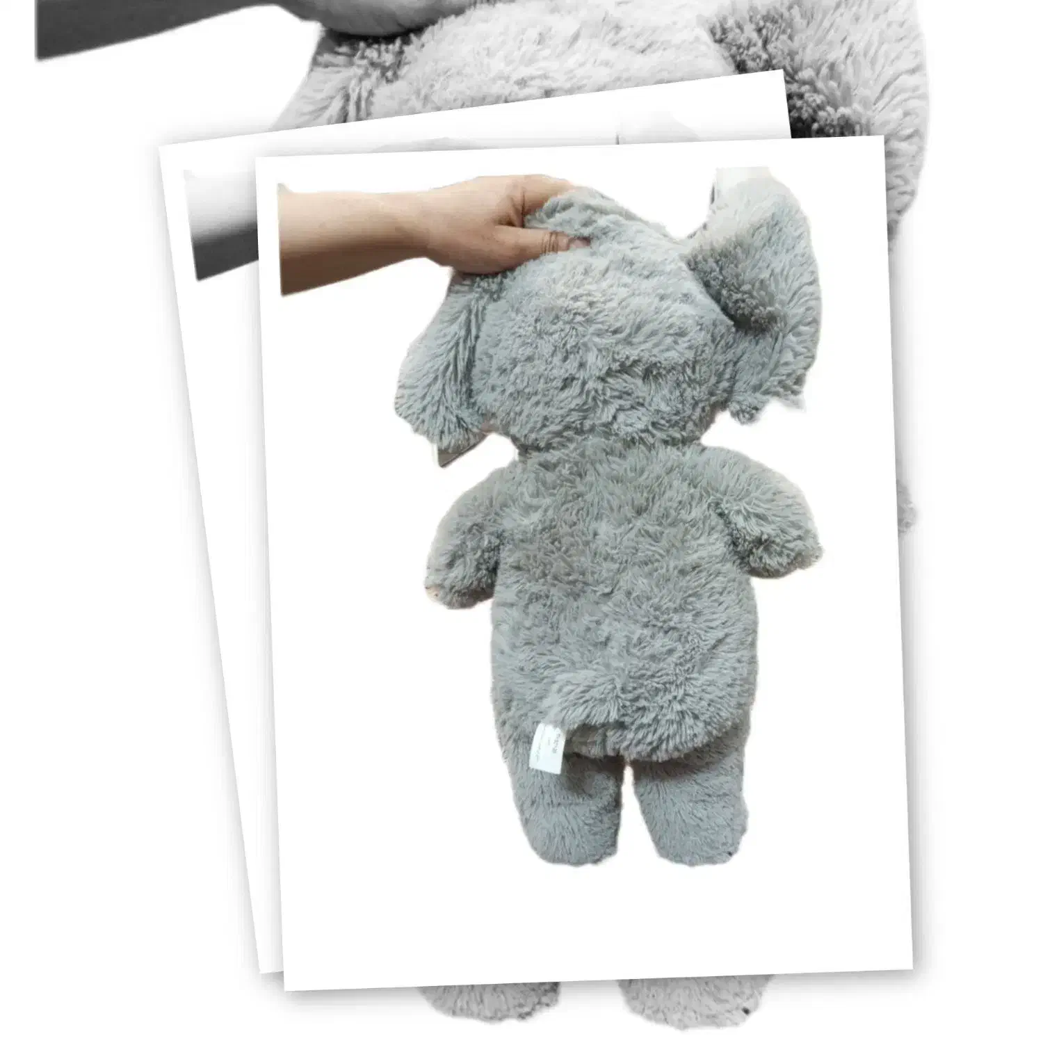 عروسک خارجی|اسباب‌‌بازی|شیراز, زرهی|دیوار