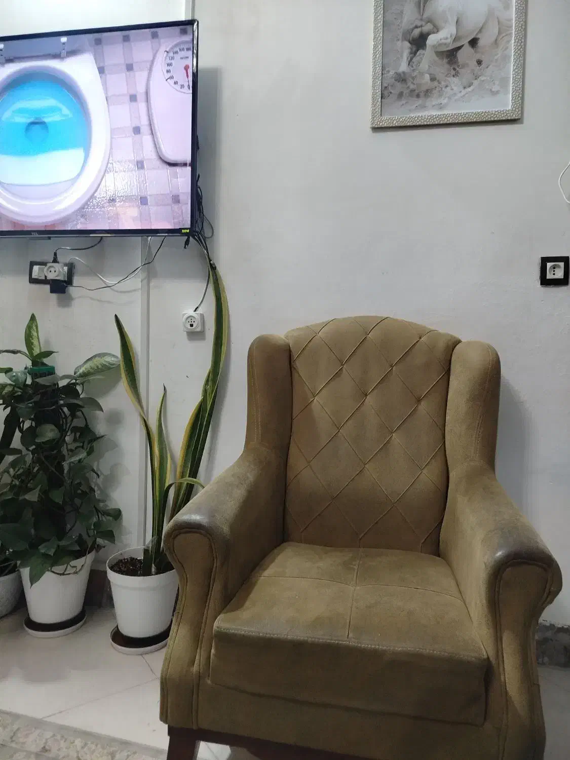 مبل راحتی|مبلمان خانگی و میز عسلی|تربت‌حیدریه, پائین ولایت|دیوار