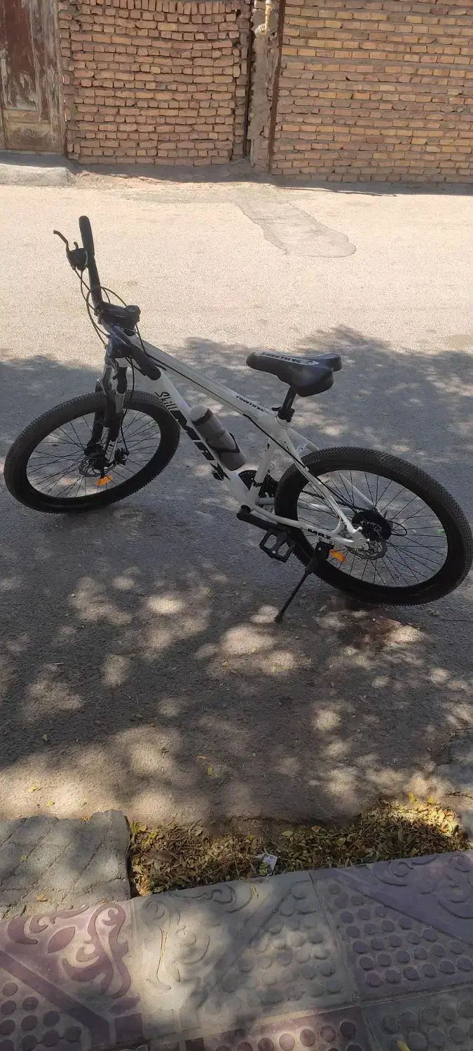 دوچرخه|دوچرخه، اسکیت، اسکوتر|قائن, |دیوار