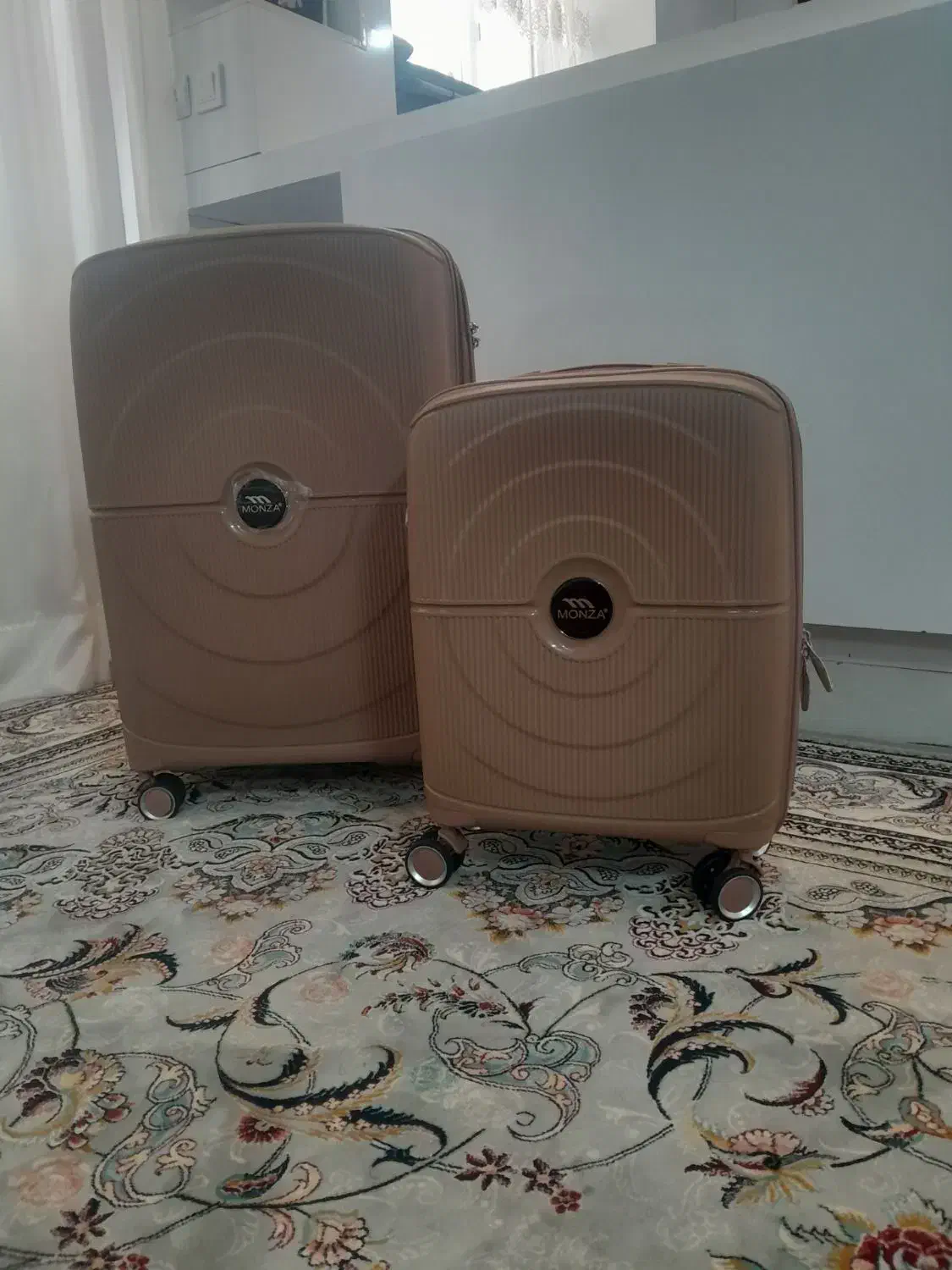 چمدان نو|کیف، کفش، کمربند|مشهد, کوی راد|دیوار