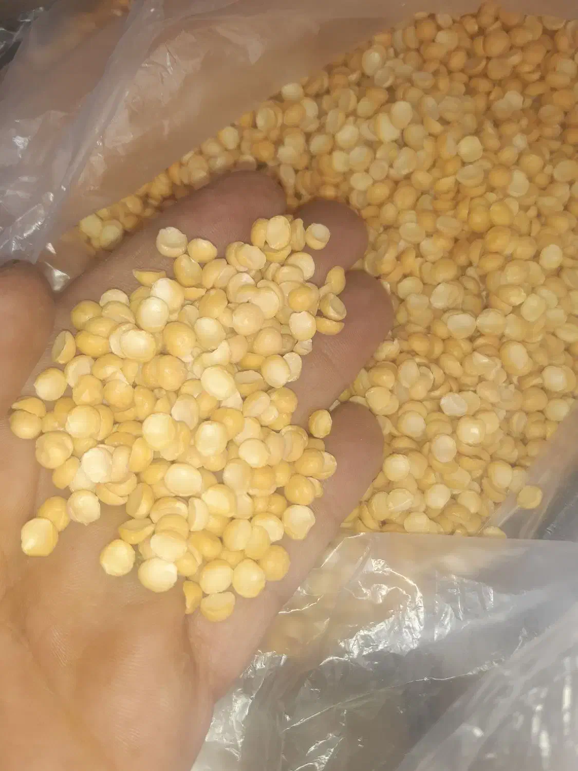 لوبیا چیتی ۳۳۰|خوردنی و آشامیدنی|پاکدشت, حصار امیر|دیوار