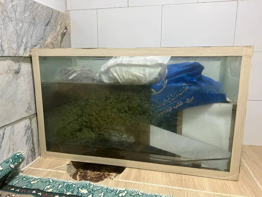 اکواریوم تمیز وسالم|ماهی|اراک, |دیوار