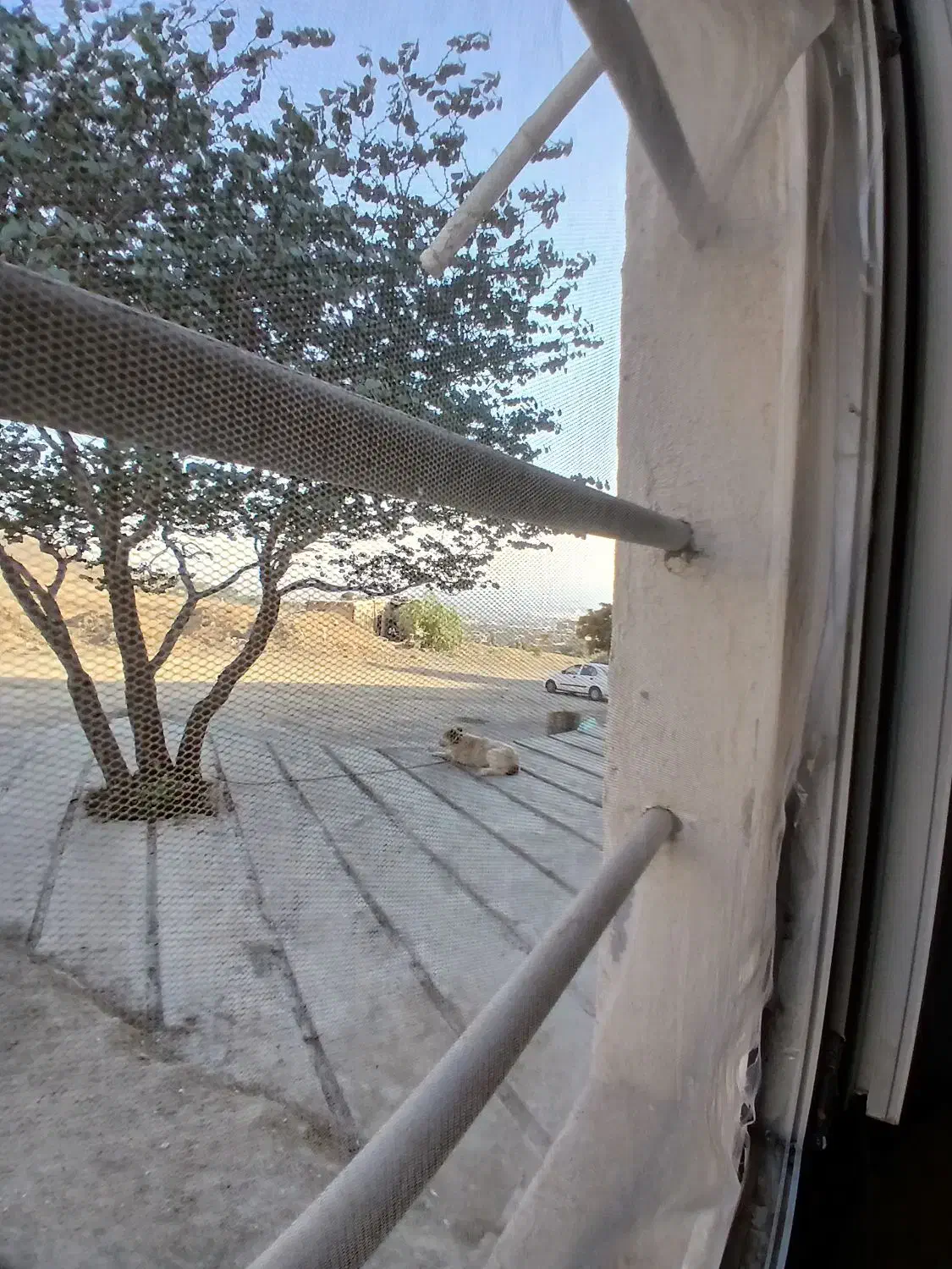 آپارتمان ۵۰ متری در محمود اباد گوهردشت|اجارهٔ کوتاه‌مدت آپارتمان و سوئیت|کرج, گوهردشت|دیوار