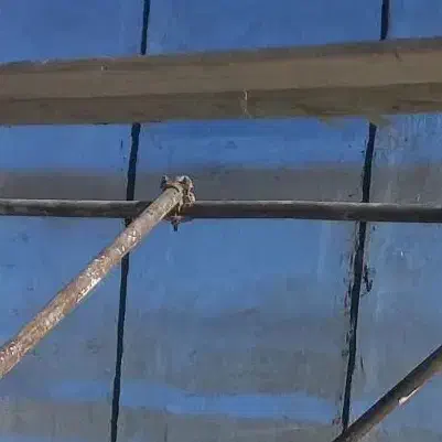 اجاره لوله وداربست فلزی|خدمات پیشه و مهارت|بافت, |دیوار