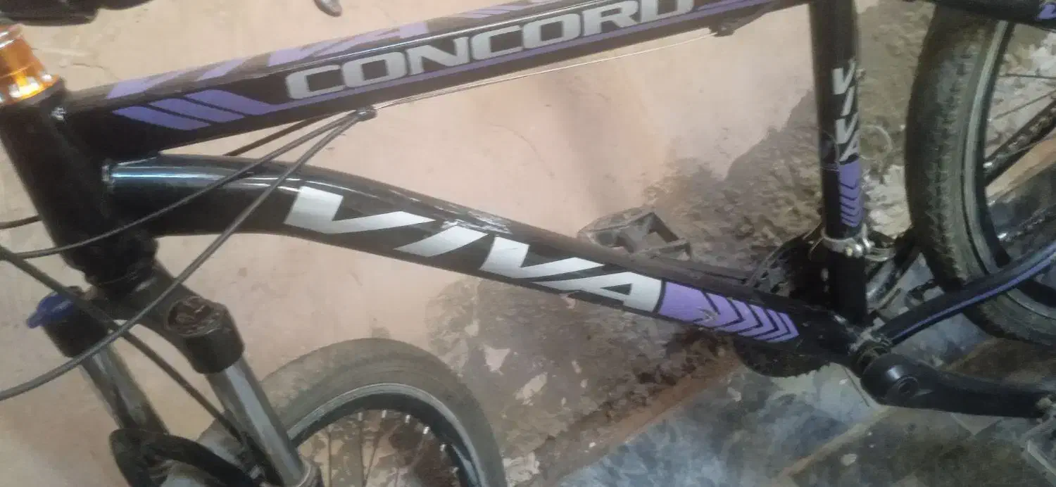 دوچرخه ویوا|دوچرخه، اسکیت، اسکوتر|زالیان, |دیوار