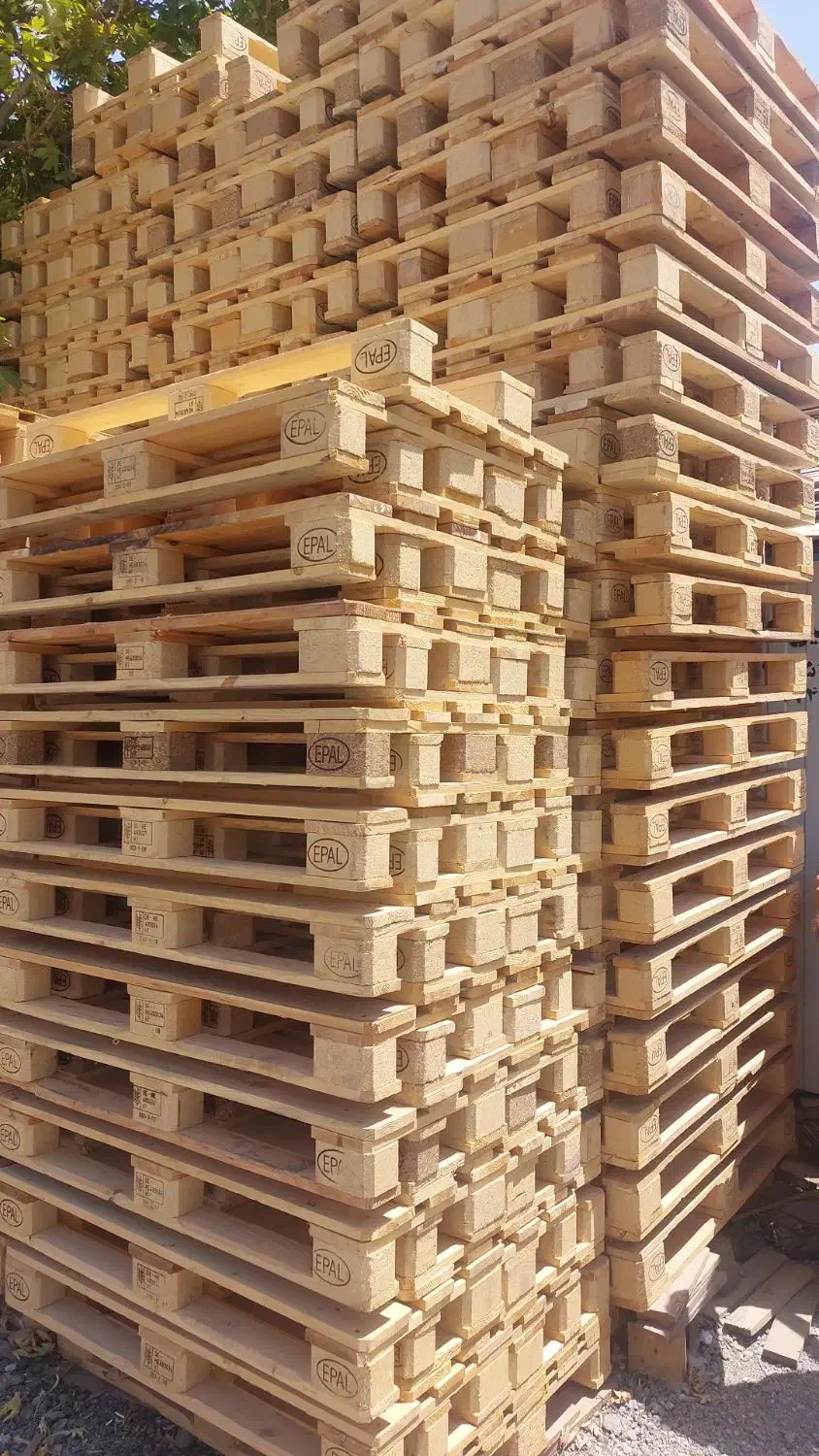 تولید و فروش پالت چوبی و پلاستیکی|عمدهفروشی|چهاردانگه (تهران), |دیوار