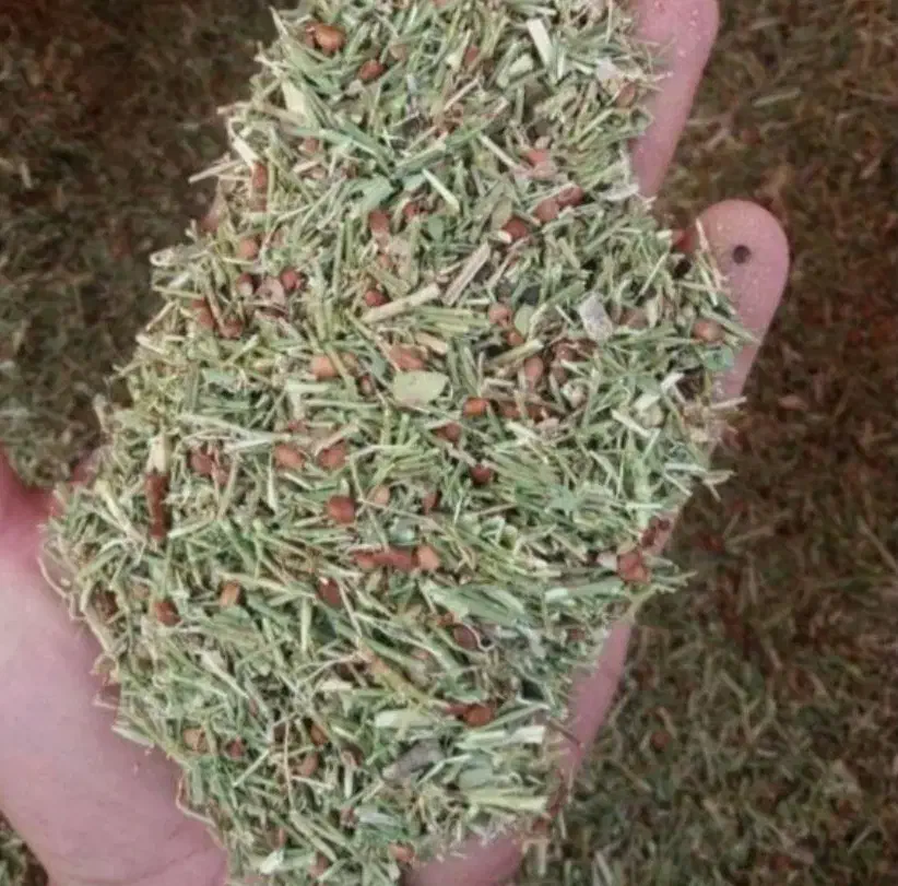 خارشتر خالص|لوازم جانبی حیوانات|گنبد کاووس, |دیوار