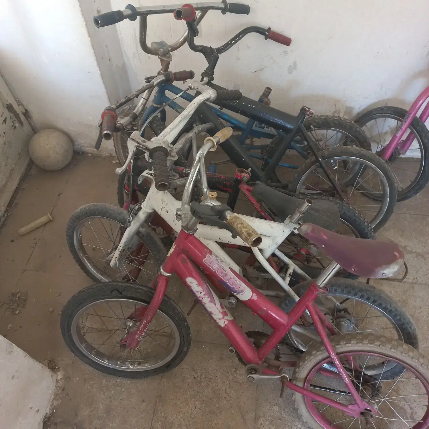 تعداد بیست عدد دوچرخه ی ۱۶و۱۲|دوچرخه، اسکیت، اسکوتر|آباده, |دیوار