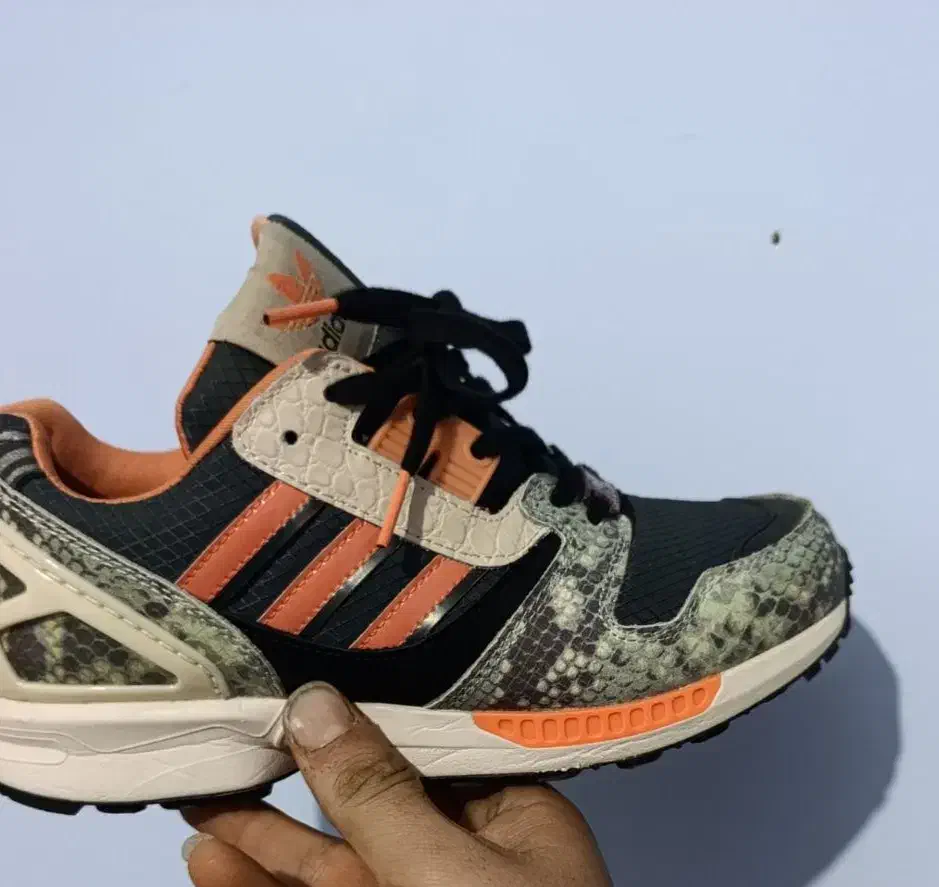 کتونی zx8000ادیداس اورجینال پوسماری|کیف، کفش، کمربند|صباشهر, |دیوار