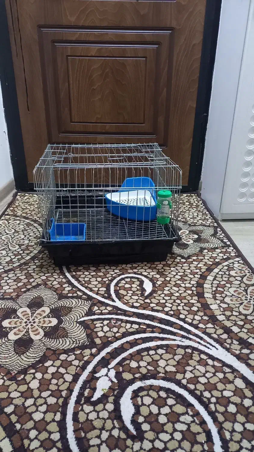 قفس خرگوش و همستر و بچه گربه|لوازم جانبی حیوانات|تهران, حشمتیه|دیوار