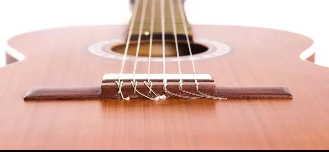 گیتار /m5/خوش دست/ شیک|گیتار، بیس، امپلیفایر|پاکدشت, پاکدشت (مامازند)|دیوار