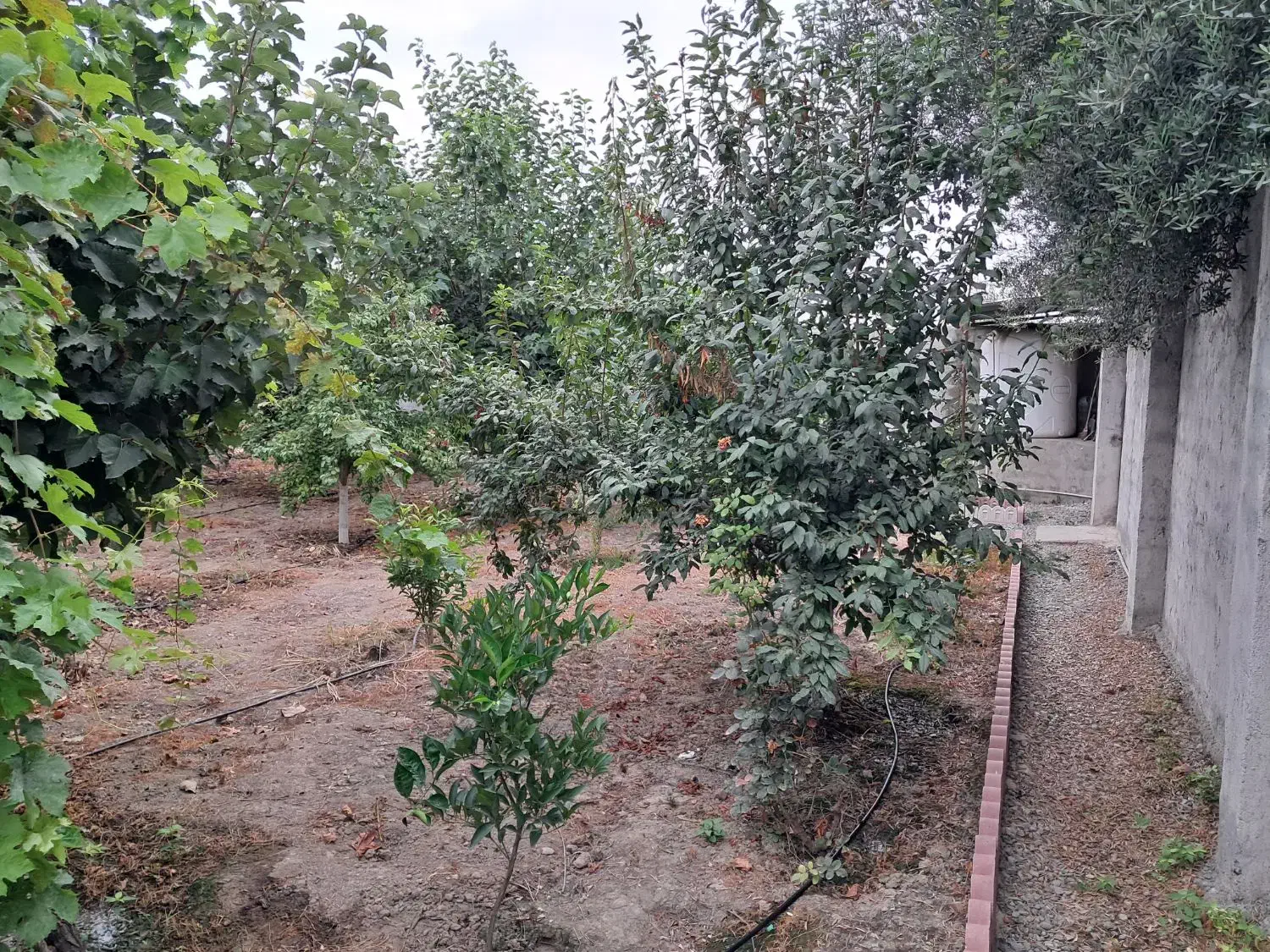 گرگان ملک مسکونی درابتدای روستای نوده ملک بهار پنج|فروش زمین و ملک کلنگی|سرخنکلاته, |دیوار