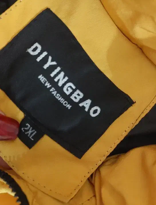 کاپشن|لباس|زنجان, |دیوار