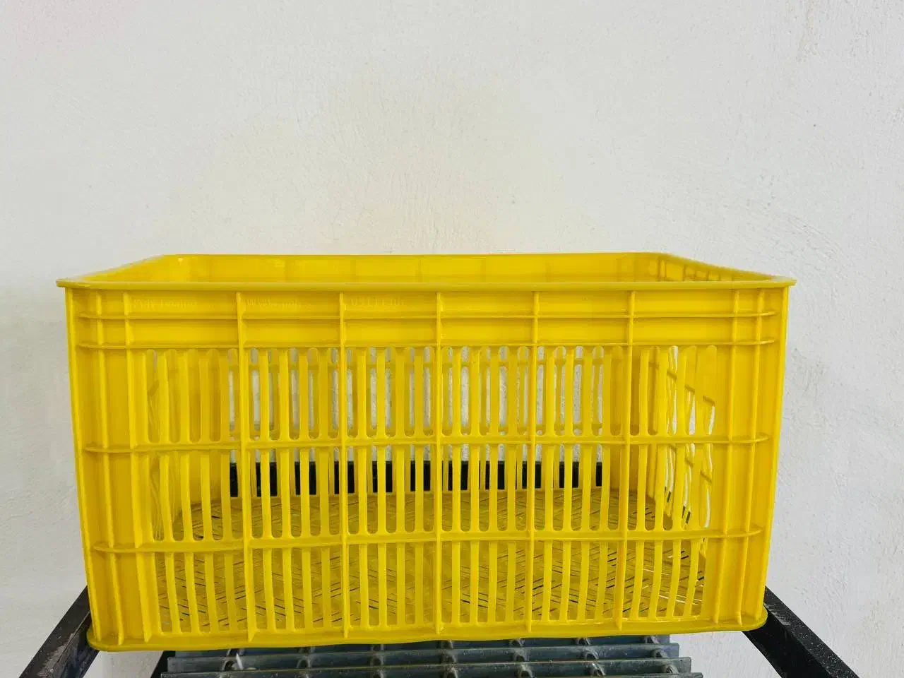 سبد20کیلویی حملی|عمدهفروشی|قزوین, |دیوار