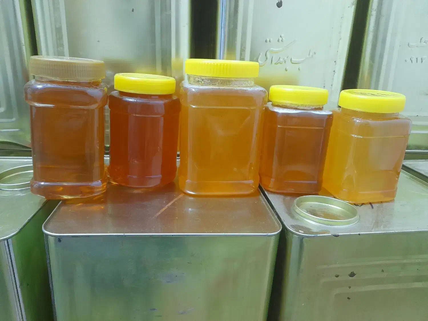 خرید وفروش عمده  انواع عسل  تغذیه وخالص|عمده‌فروشی|لاران, |دیوار
