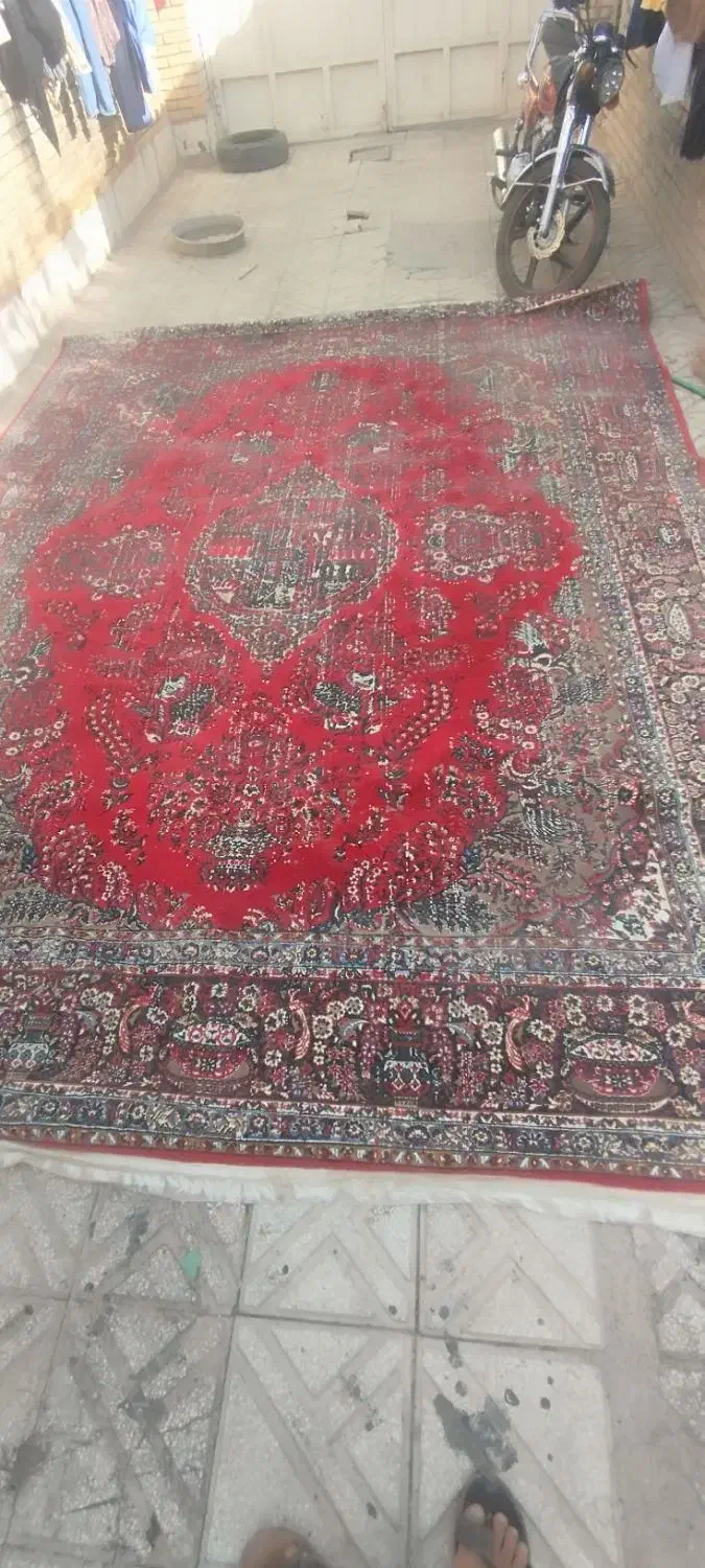 فرش|فرش|یزد, |دیوار