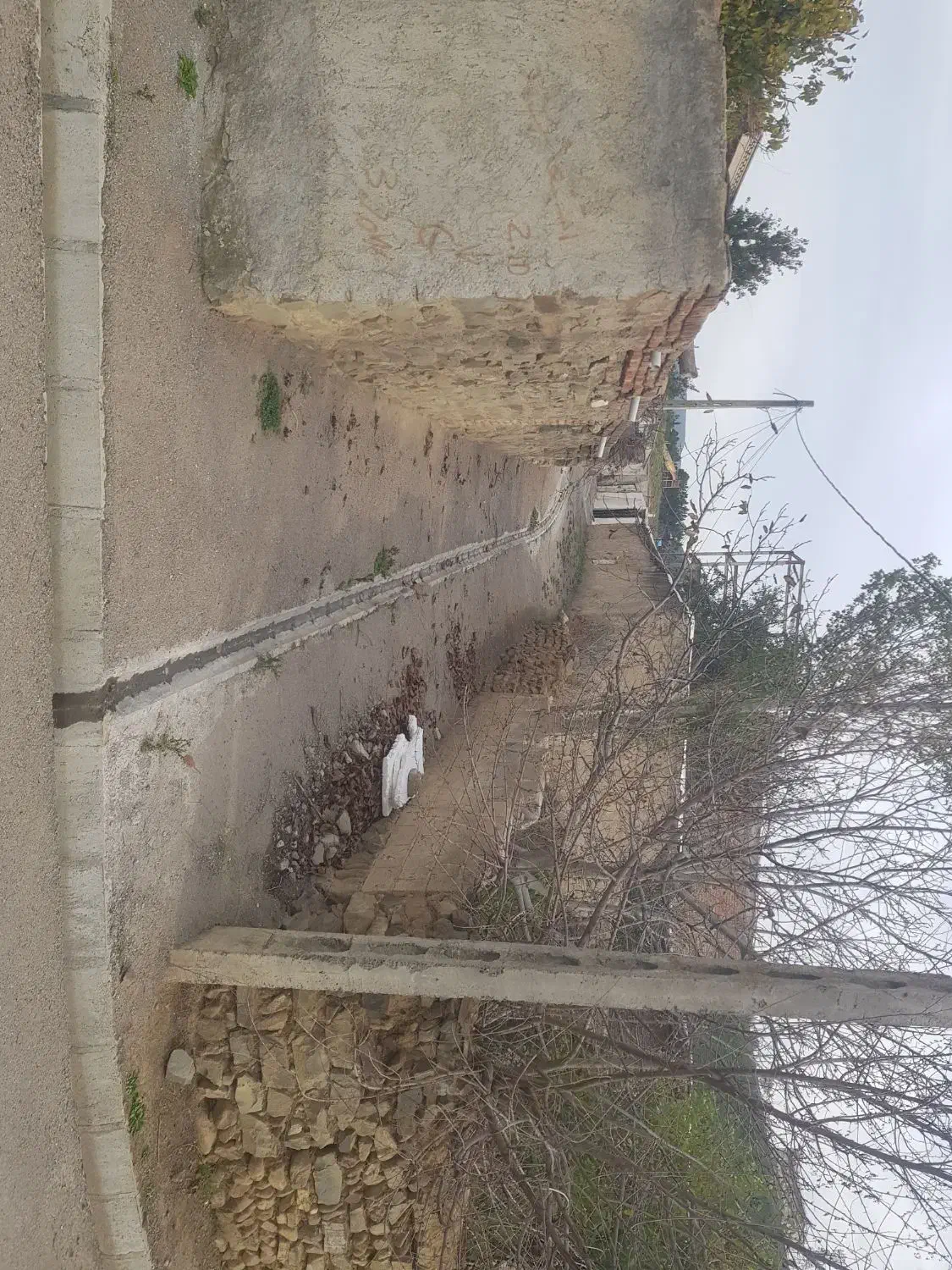 باسلام یک قطعه زمین در شهرک عباسیه گرمی|فروش زمین و ملک کلنگی|گرمی, |دیوار