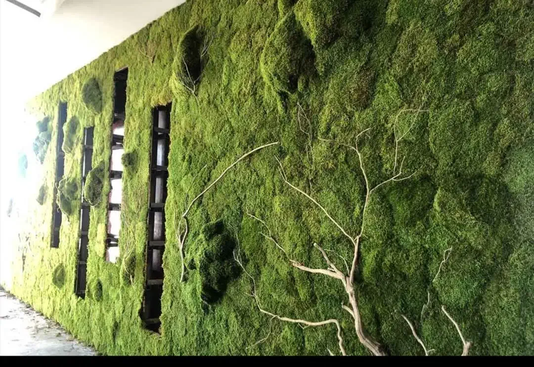 اجرای طرح دیوار سبز (خزتثبیت)|تابلو، نقاشی، عکس|شیراز, گلکوب|دیوار