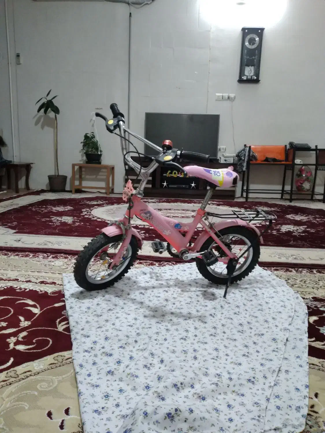 فروش دوچرخه ۱۲|دوچرخه، اسکیت، اسکوتر|قزوین, |دیوار