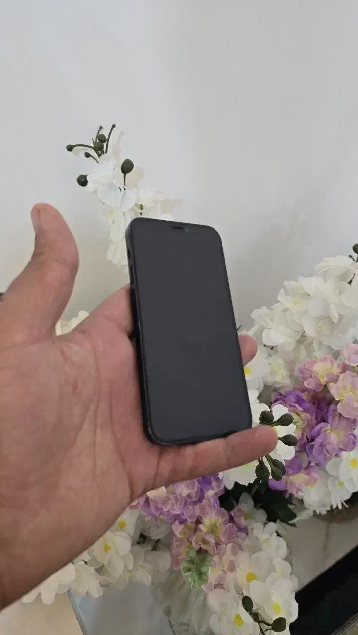 آیفون ۱۲ مینی (12mini) ۱۲۸ گیگ|موبایل|تبریز, |دیوار
