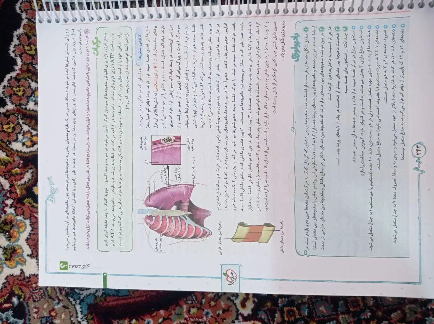 زیست خیلی سبز دهم|کتاب و مجله آموزشی|مشگین شهر, |دیوار