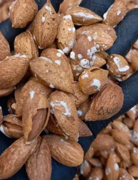 تخفیف ویژه خشکبار|خوردنی و آشامیدنی|تهران, مولوی|دیوار