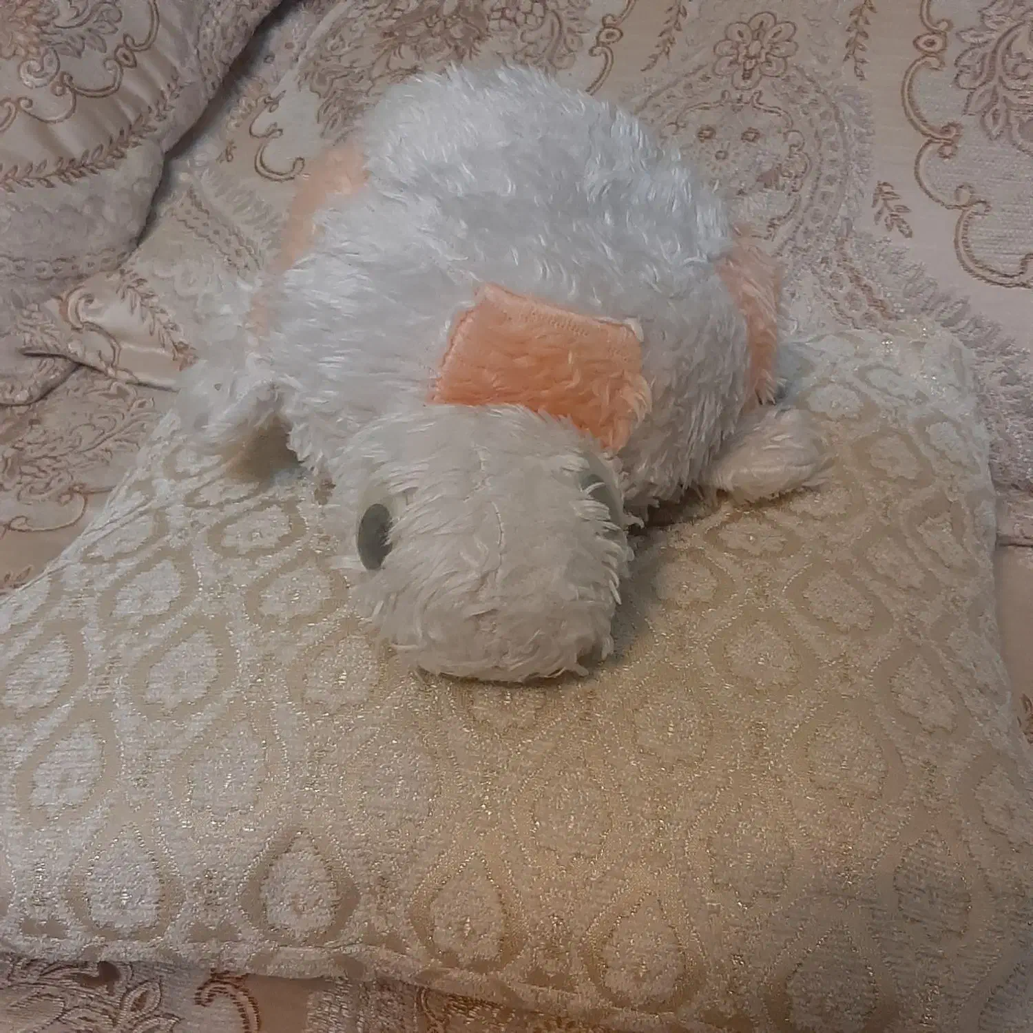 لبوبو عروسک و اسباب بازی ولنتاین روز دختر|اسباببازی بچه|مشهد, الهیه|دیوار