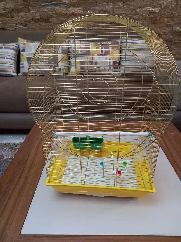 قفس پرنده|لوازم جانبی حیوانات|اهواز, کیانپارس |دیوار