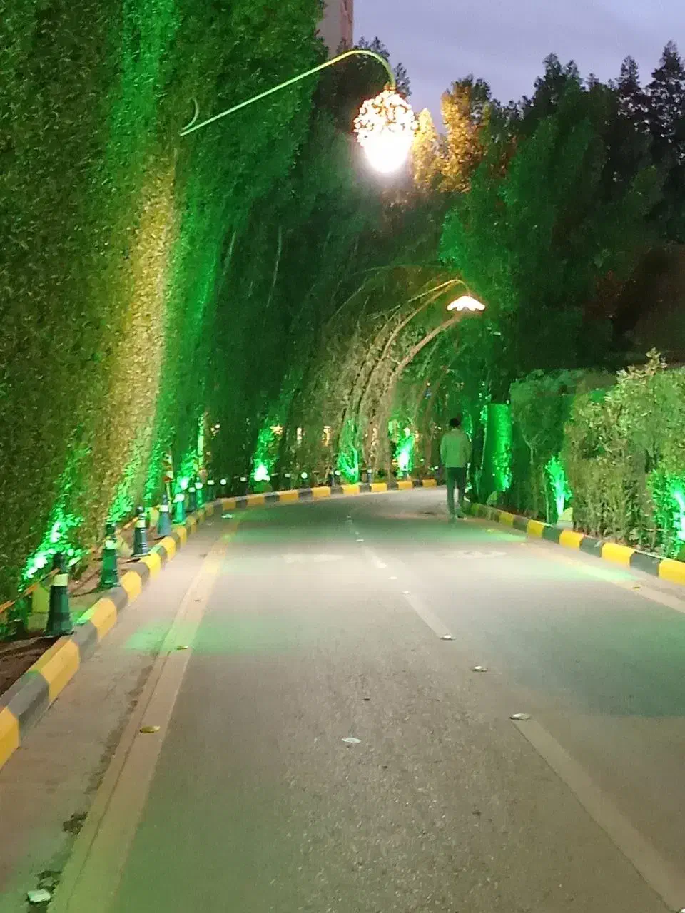 سفر زیارتی کربلا (ایام ولادت حضرت زهرا«س»)|تور و چارتر|مشهد, عامل|دیوار