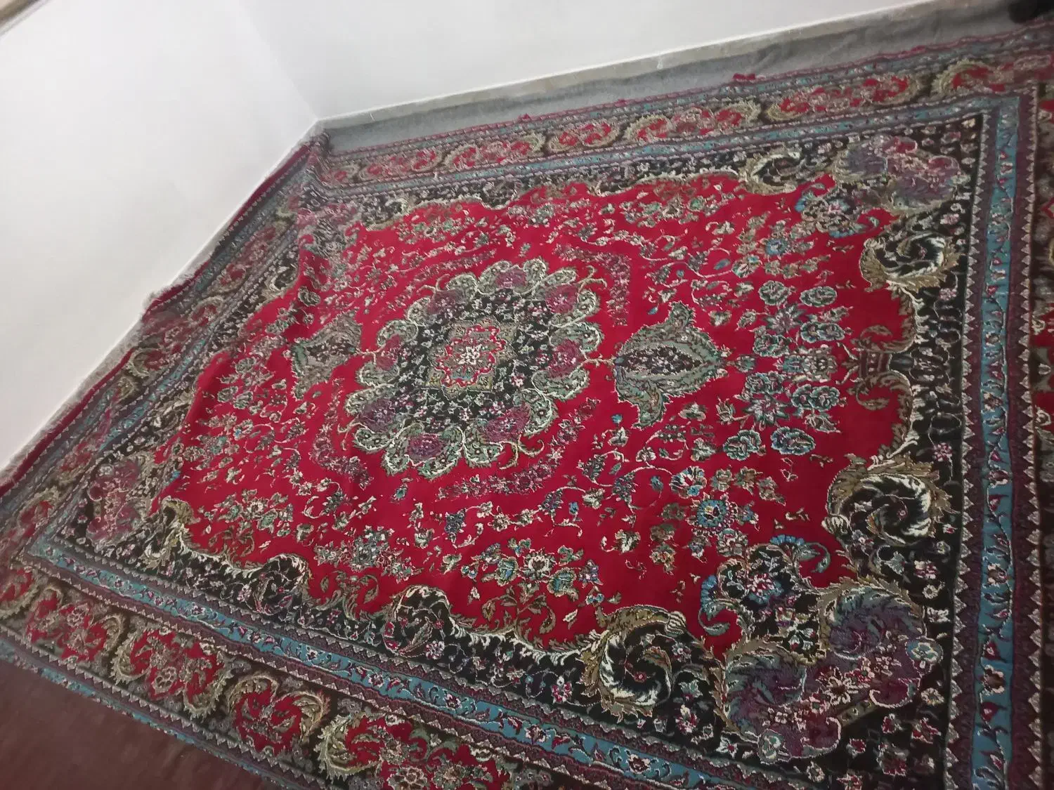فرش ۱۲ متری|فرش|سمنان, |دیوار