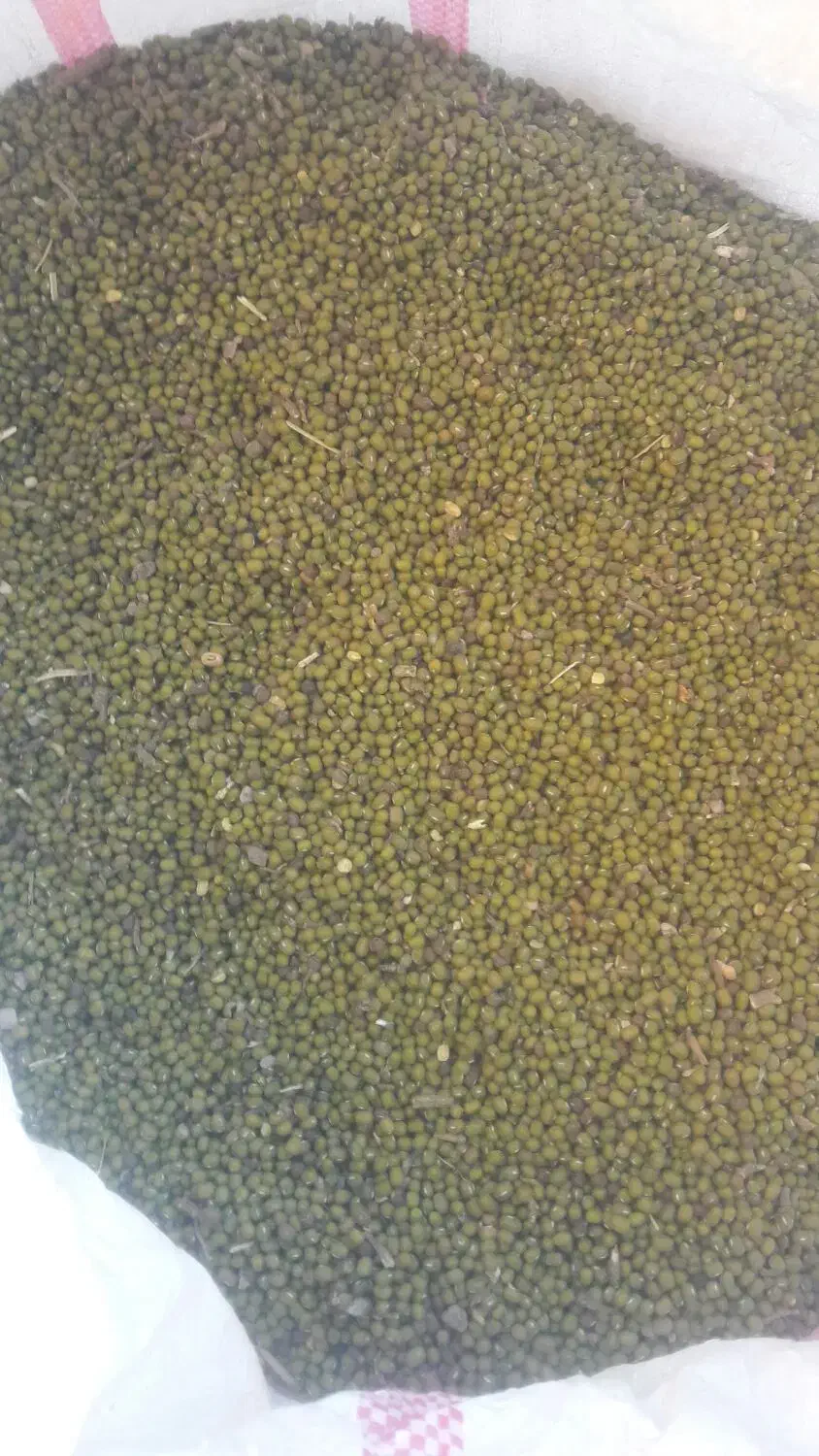 ماش عمرانی|عمده‌فروشی|دره شهر, |دیوار