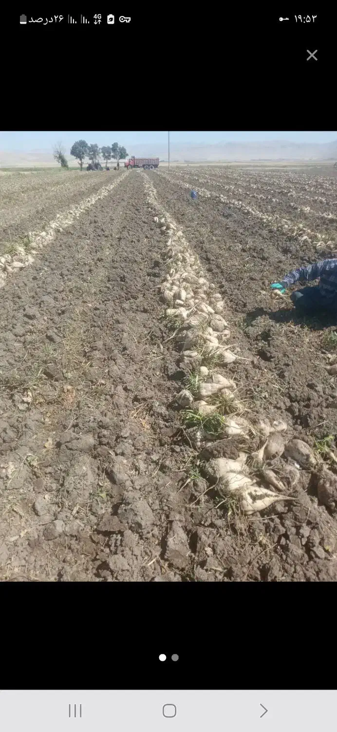 سرکارگر ب تعدادی کارگر نیازمندم|خدمات باغبانی و درختکاری|اسلامآباد غرب, |دیوار