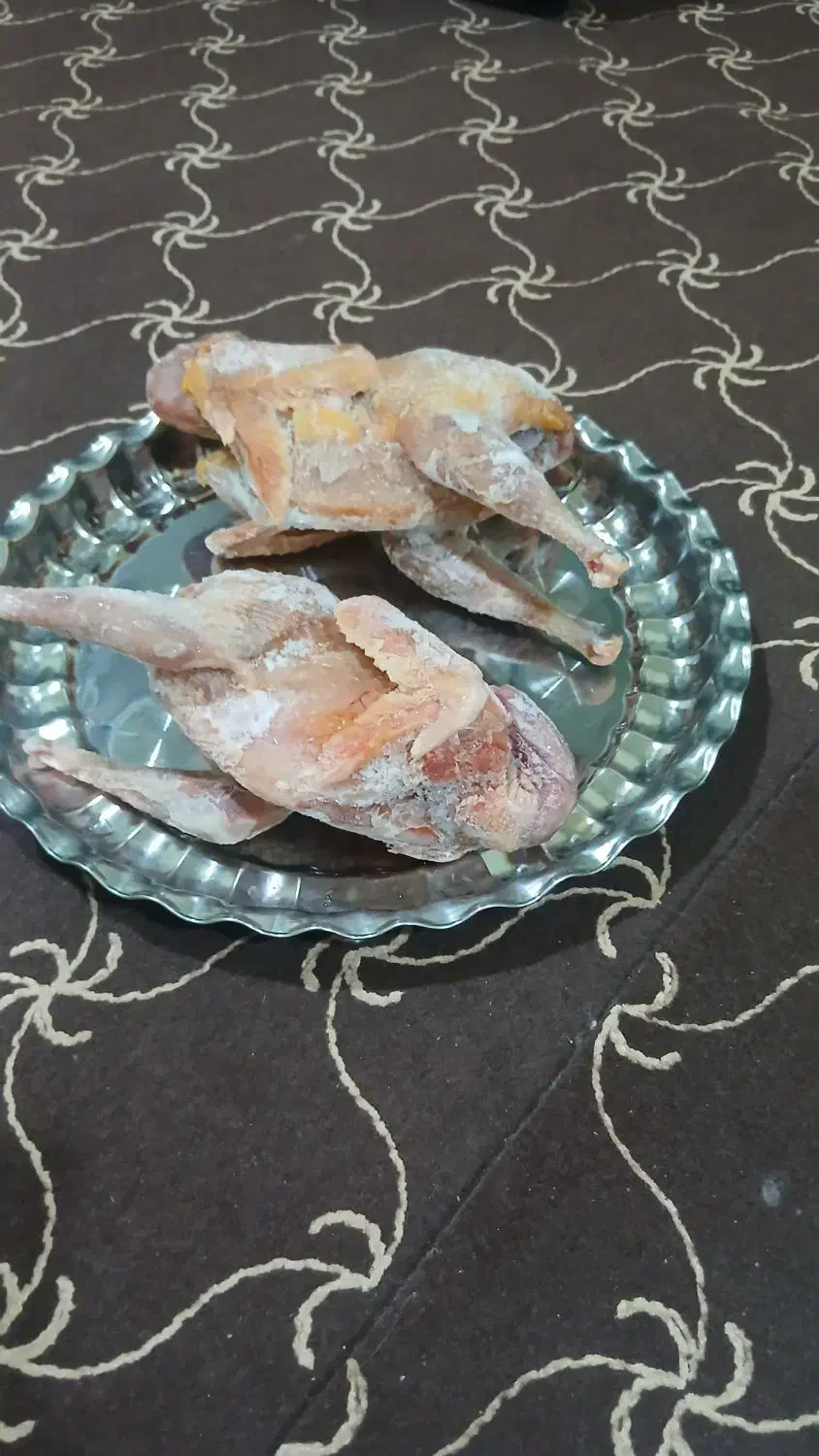 غاز و مرغ پا کرده|حیوانات مزرعه|بندر ماهشهر, |دیوار