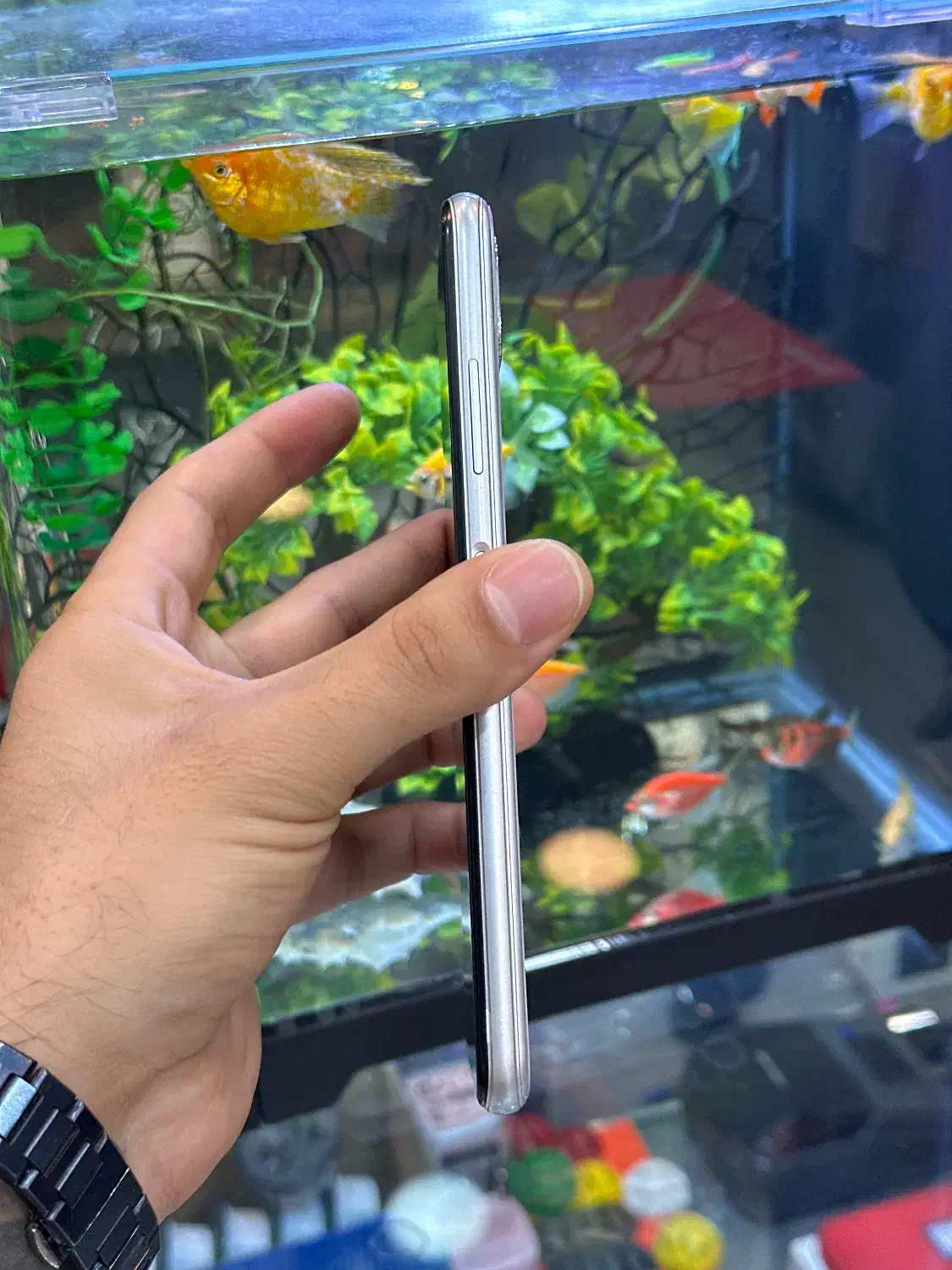 سامسونگa22 5g|موبایل|شیراز, زند|دیوار