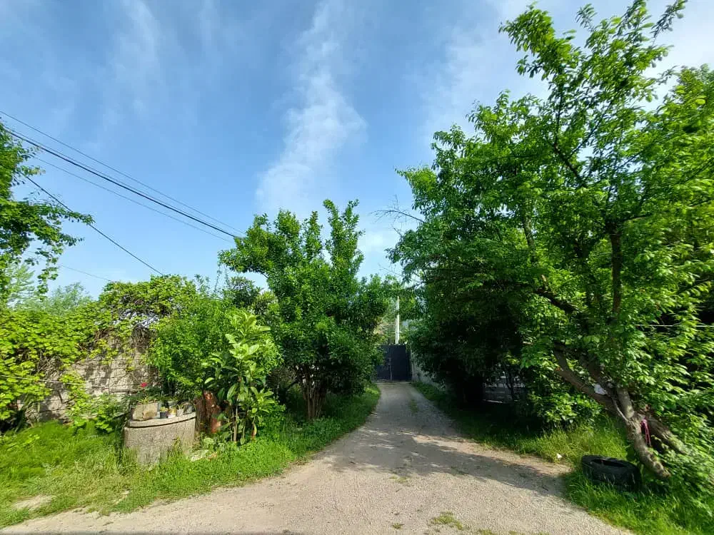 اجاره خانه ویلایی۵۰۰متری با۸۰ متر بنا در پاکت سازی|اجارهٔ خانه و ویلا|رشت, حومه رشت|دیوار