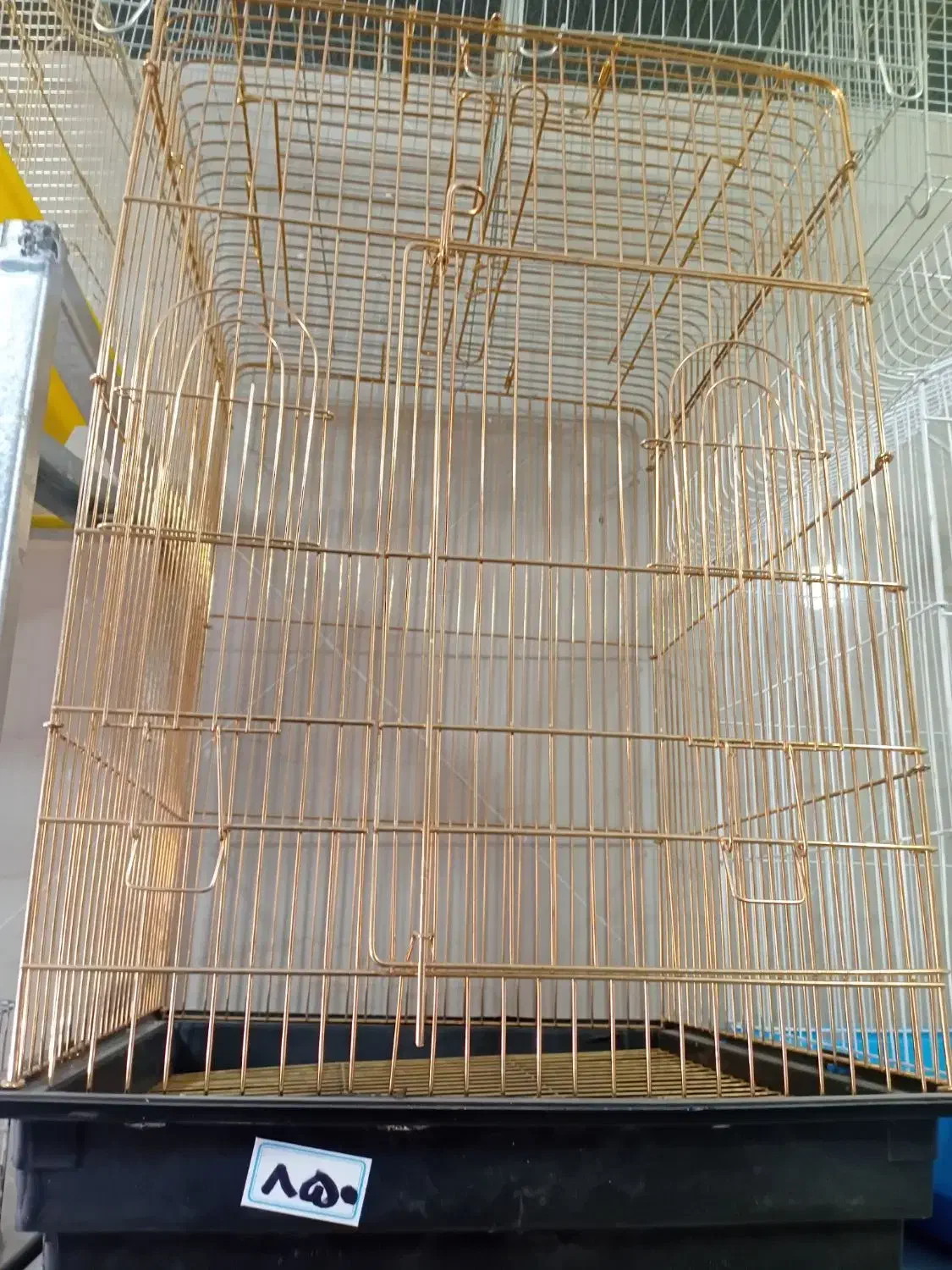 قفس پرنده|لوازم جانبی حیوانات|فردیس, سرحدی|دیوار