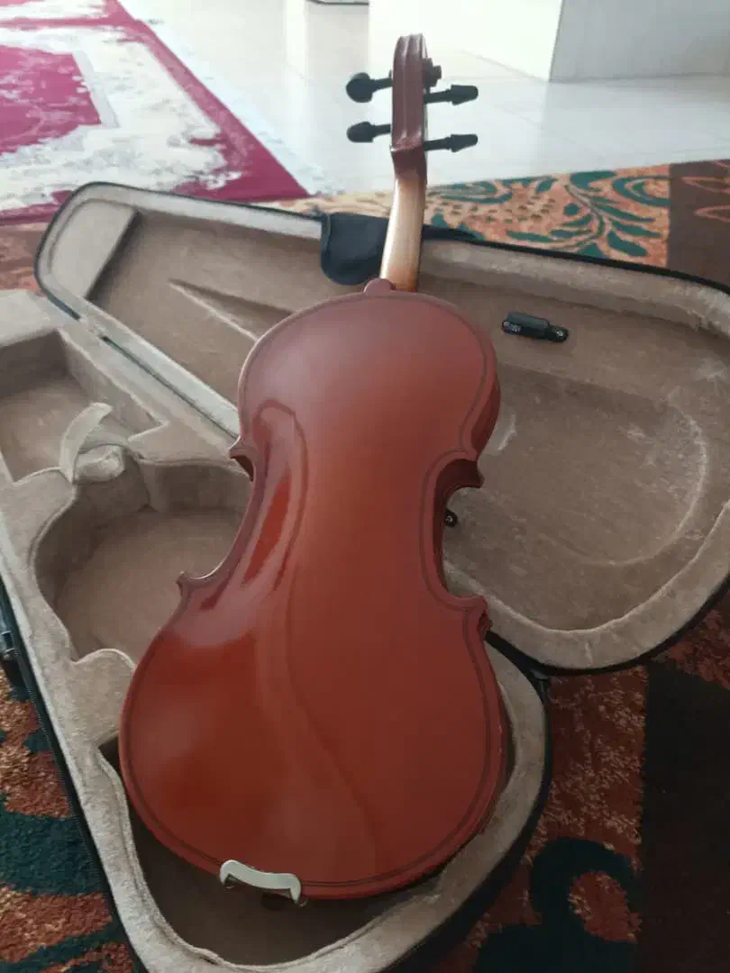 ویولن TF142|ویولن|شیراز, شهرک بزین|دیوار